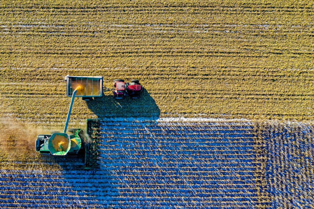 Campos de cultivo ecológico