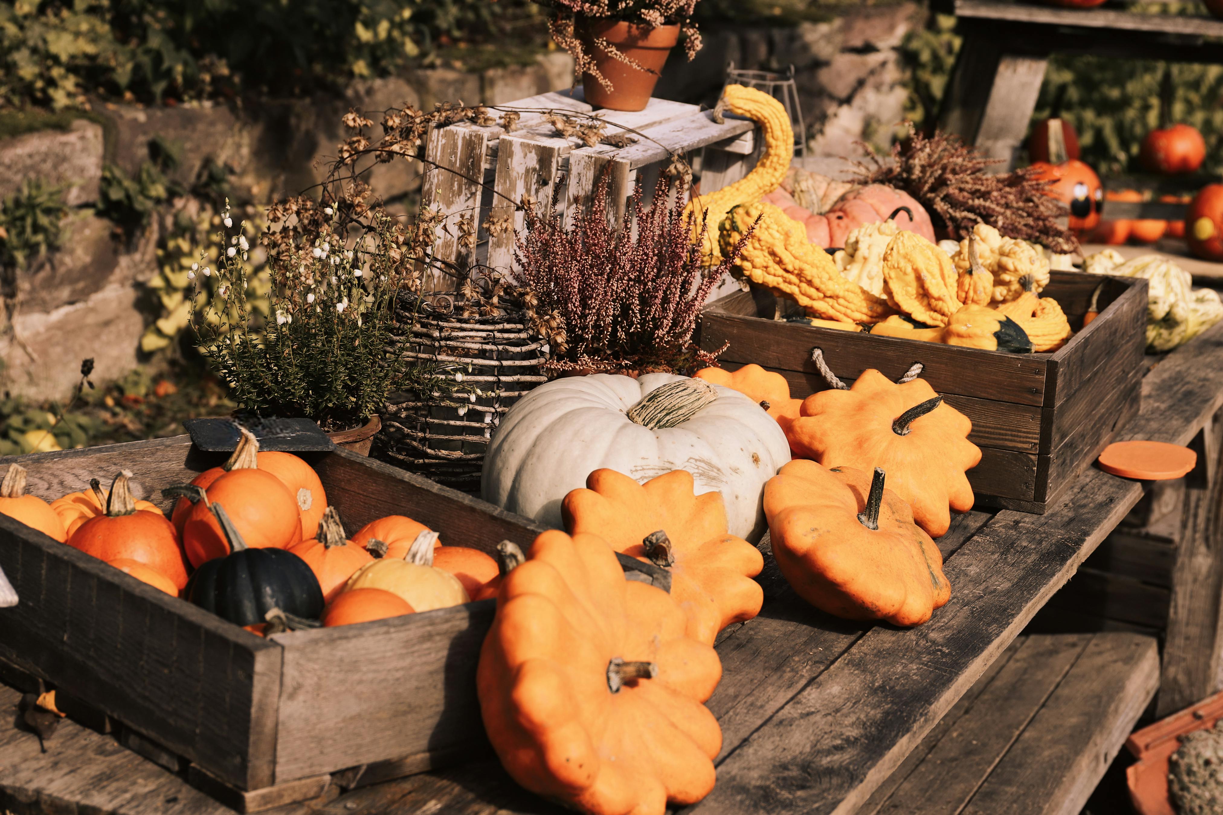 La celebración de Halloween incrementará la actividad en la Hostelería de Madrid un 5%, con dos horas más de actividad en los locales - La Viña